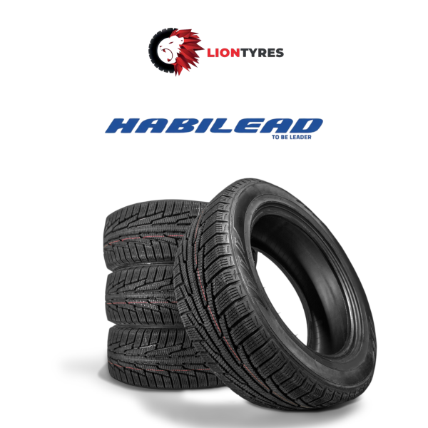 Habilead – Budget-Friendly Choice with Solid Global Standards