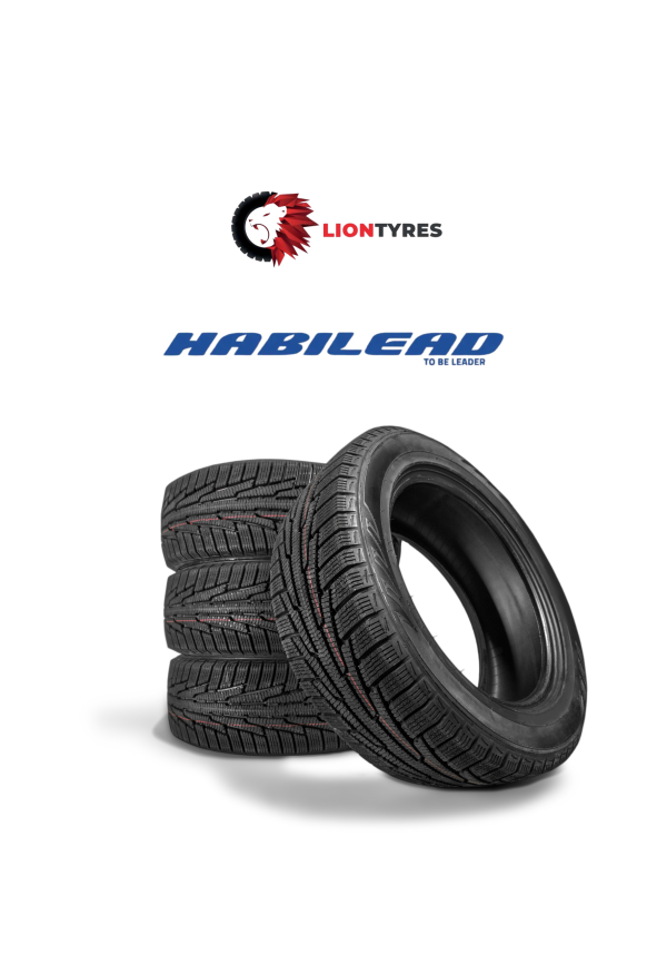 Habilead – Budget-Friendly Choice with Solid Global Standards
